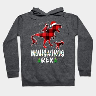 Mimi T Rex Matching Family Christmas Dinosaur Shirt Hoodie